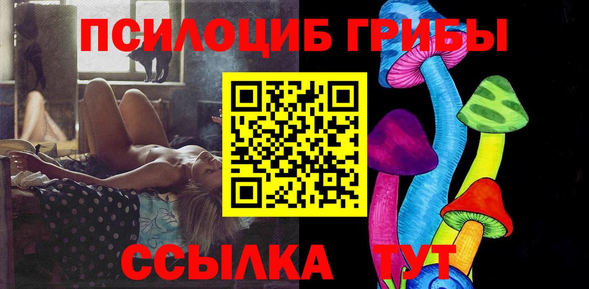 Галлюциногенные грибы Psilocybine cubensis Семилуки